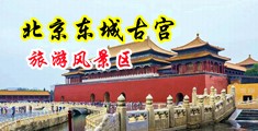 女人操男人逼裸体精液流出来了黄色视频播放中国北京-东城古宫旅游风景区